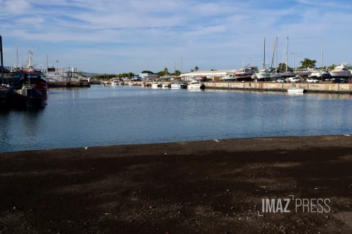 Le Port : une femme poignardée, son compagnon se jette en voiture dans la darse