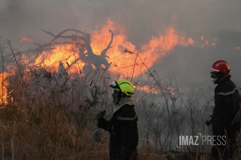 Dash 8 pour Feu de broussailles à Savannah Saint-Paul