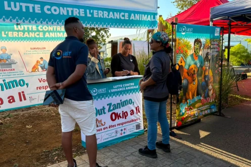 TO : "Out zanimo, okip a li", une initiative pour lutter contre l'abandon animale 