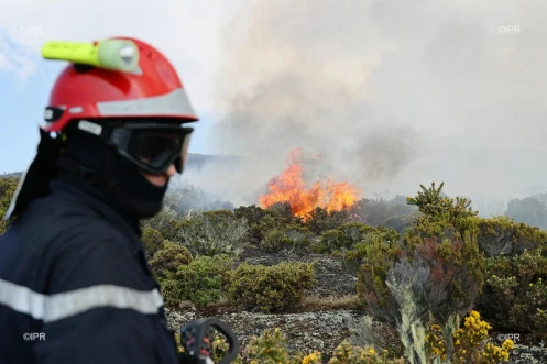 Incendie Maïdo 2020