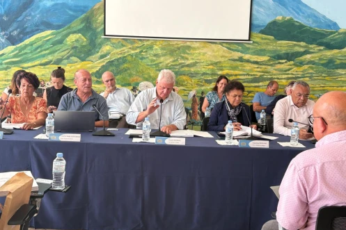 Le Tampon : 16 rapports adoptés en conseil municipal