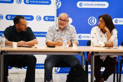 CCI Réunion : la commission services planche sur le travail illégal et la Silver économie