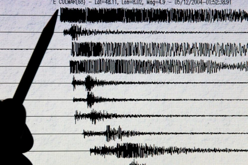 Vue du sismographe du centre d'observation des séismes à Strasbourg prise le 05 décembre 2004