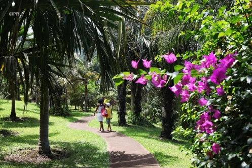 Mascarin jardin botanique