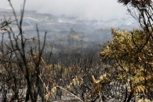 Incendie du Maïdo 9 novembre 2020
