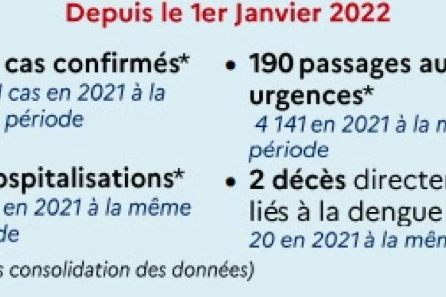 Bilan dengue