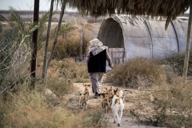 Le cre?puscule du Tigre - Irak6