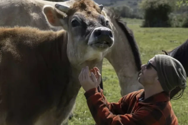 En Uruguay, une ONG sauve les chevaux des assiettes belges ou françaises