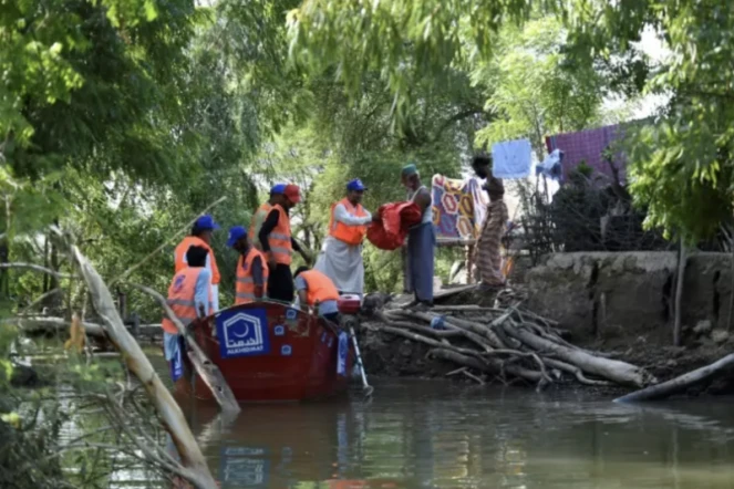 Pakistan: des villageois bravent la faim et les serpents pour protéger leurs terres inondées