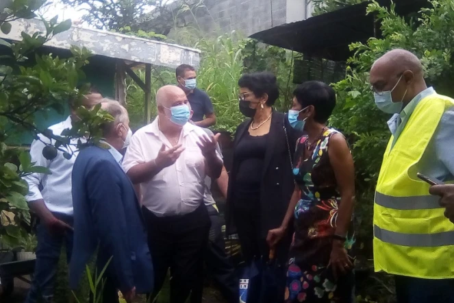 conseil départemental patrick jarry département ericka bareigts lutte anti vectorielle dengue