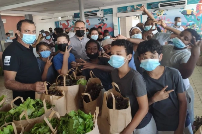Opération Bann frui èk légim péi : le plein de vitamines au collège des Tamarins