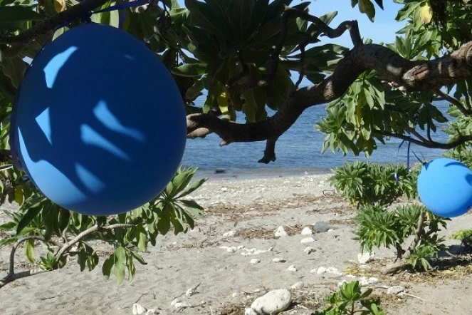 Ballons de baudruche laissés sur la plage : Kélonia alerte