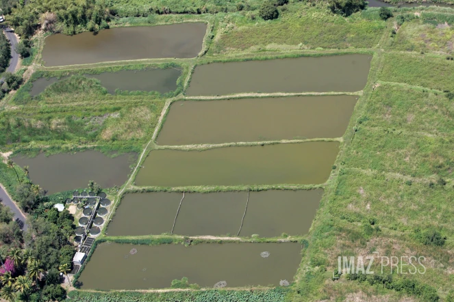 traitement des eaux usées étang salé 