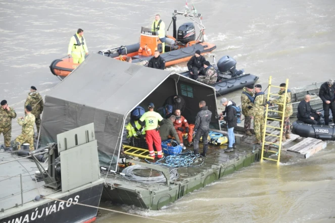 Des plongeurs et des équipes de sauveteurs recherchent des survivants après le naufrage d'un bateau de touristes sur le Danube, le 30 mai 2019 à Budapest