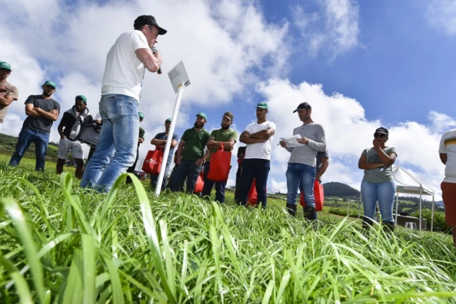 Journée de l'herbe gestion des prairies