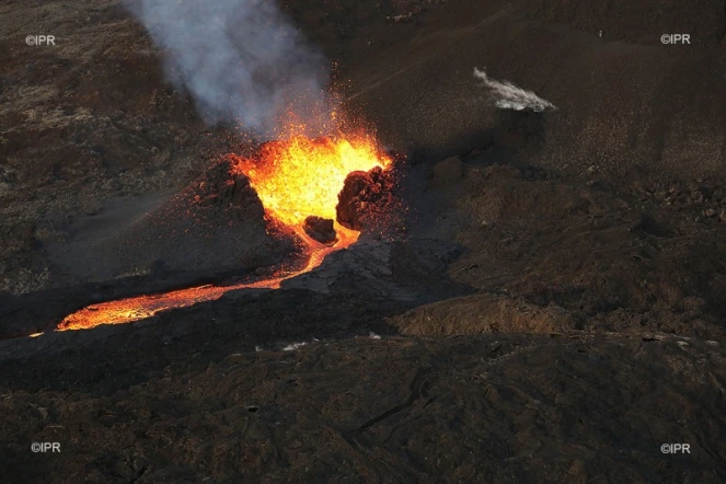 volcan février 2019