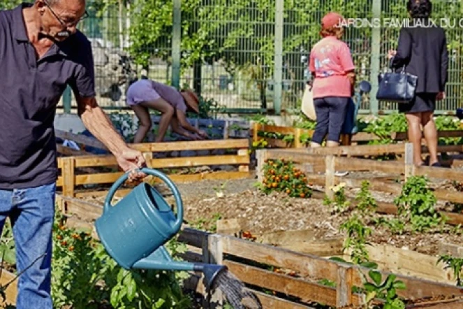 Jardins familiaux 