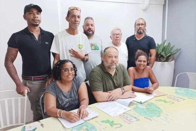 Municipales 2026 : Saint-Pierre Plus Verte et La Réunion Plus Verte ne rouleront pas pour Emeline K/Bidi