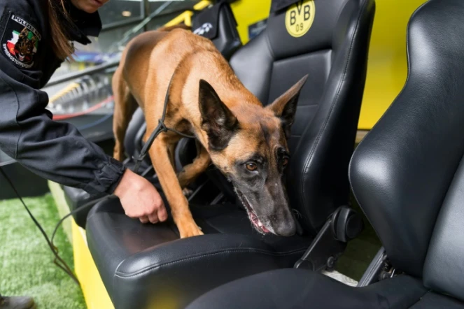 Inspection des bancs de touche du stade du Borussia à l'aide d'un chien, le 12 avril 2017 à Dortmund