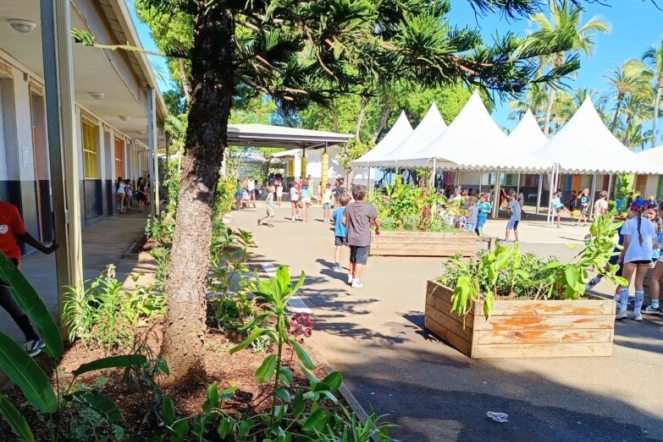 600 végétaux plantés dans la cour élémentaire de l’école de La Saline-Les-Bains