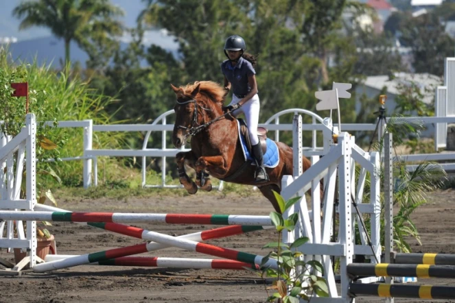 chevaux, centres équestres, air france cargo, coronavirus, covid-19, transports, actualité de la réunion