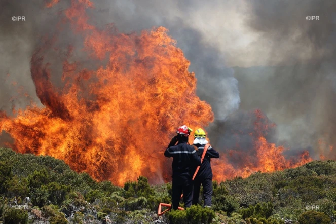 Incendie Maïdo 2020