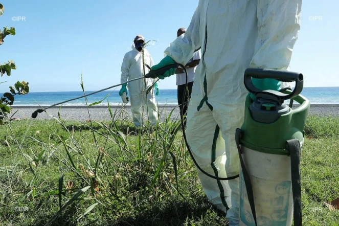 veille sanitaire au Port 