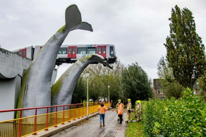 Une rame de métro qui a déraillé s'est échouée au sommet d'une sculpture de queue de baleine à Spijkenisse près de Rotterdam le 2 novembre 2020