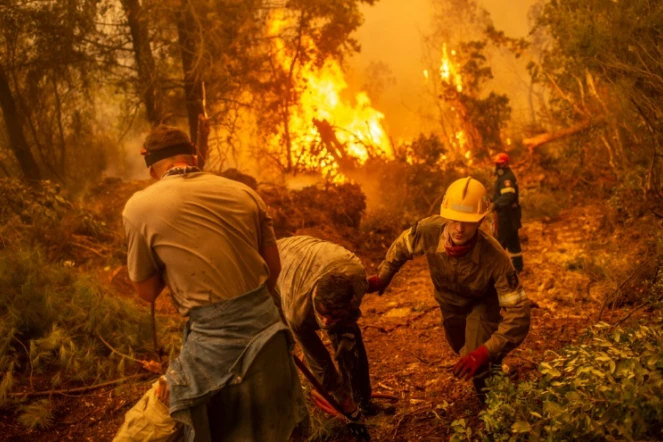 Pompiers et volontaires tentent de venir à bout des flammes dans le village de Glatsona sur l'île d'Eubée, en Grèce, le 9 août 2021