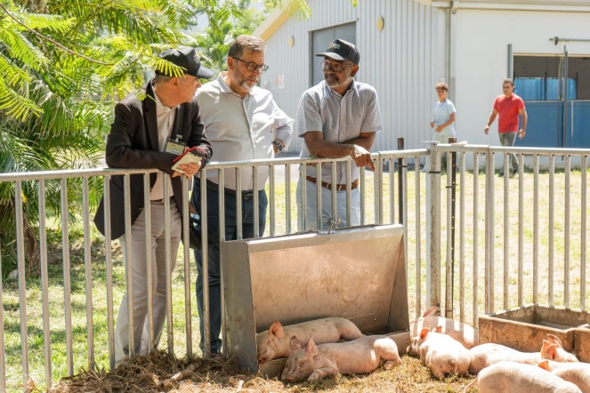 Région Réunion : portes ouvertes au lycée agricole de Saint-Joseph