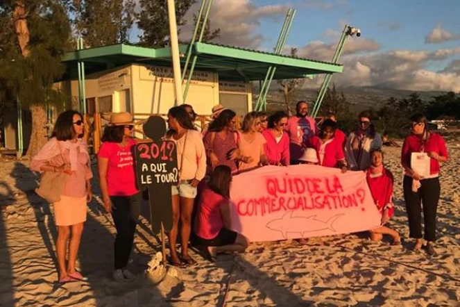 Femmes contre la crise requin, femmes en rose, Girardin