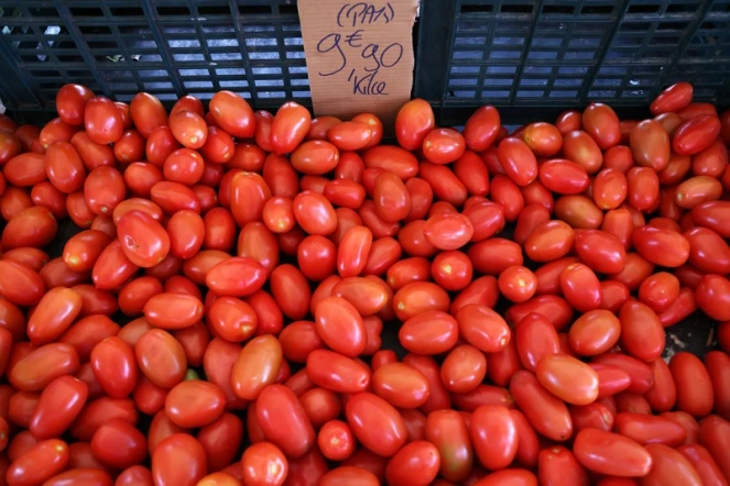 prix tomates 