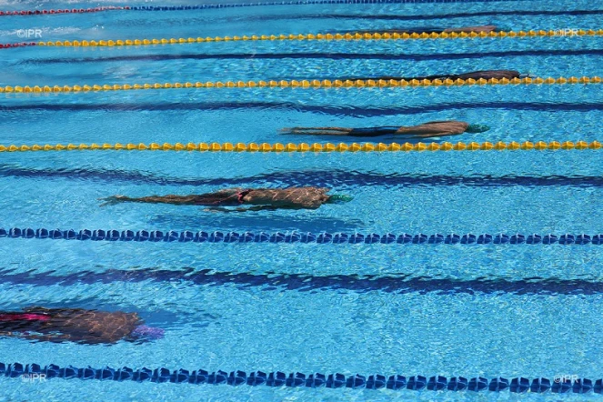 natation qualif 2017