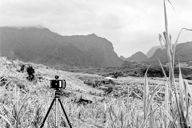 "20 ans de paysage réunionnais" : un livre pour retracer l'évolution de La Réunion face au changement climatique