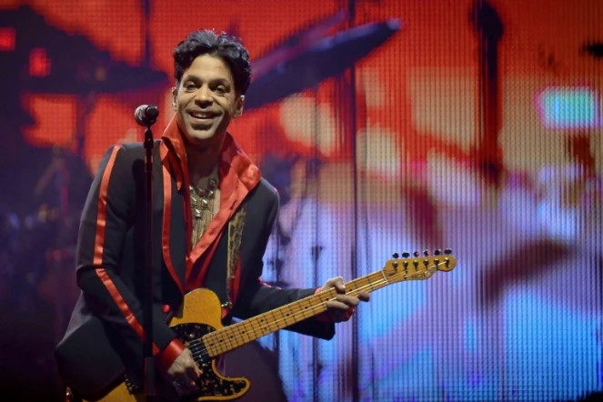 Prince en concert à Anvers (Belgique) le 8 novembre 2010 