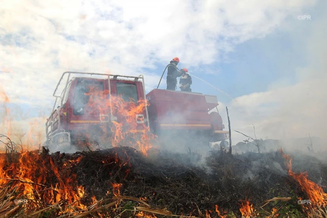Feu de canne 