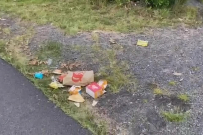 (Encore) des dépôts sauvages sur la Route des laves