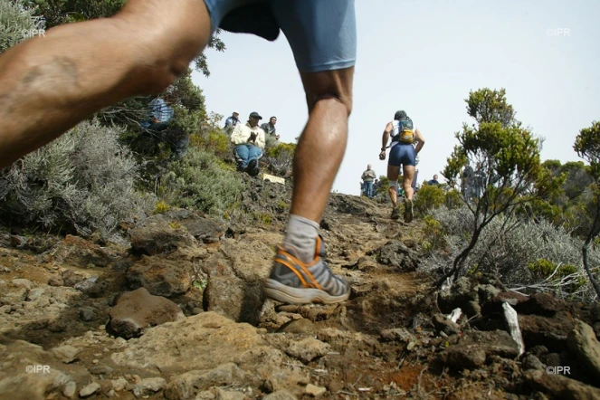 Trail