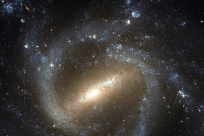 Photo d'une galaxie spirale barrée, ici NGC 1073, prise avec le télescope spatial Hubble et fournie par l'Agence spatiale européenne le 3 février 2012 ( NASA/ESA/HUBBLE / - )