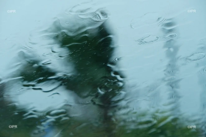 pluie 