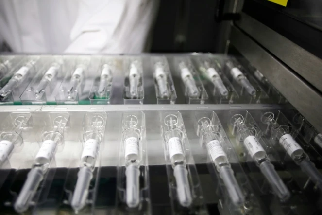 Des seringues de vaccins dans une usine de Sanofi Pasteur à Val-de-Reuil, dans le nord-ouest de la France, le 26 novembre 2012