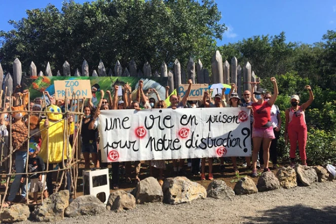 manifestation zoo étang salé extinction rebellion 3 juillet 2021