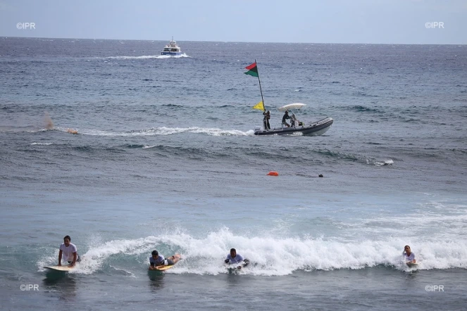 Risque requins : les surfeurs se mettent enfin à l'eau avec les vigies renforcées
