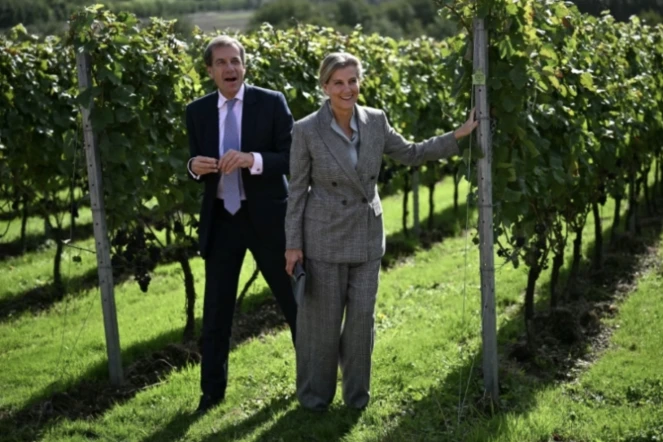 Le cofondateur du domaine d'Evremond, Patrick McGrath, et la duchesse d'Edimbourg Sophie à Chilham, le 26 septembre 2024 dans le sud-est de l'Angleterre ( AFP / Ben STANSALL )