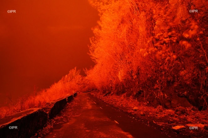 volcan 2007