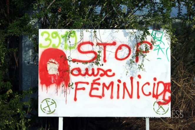 VIF féminicide 