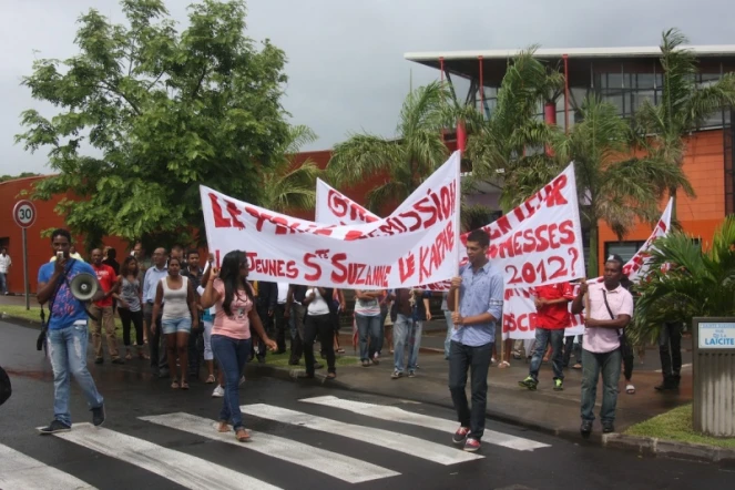 Manifestation contre la nomination de Gilles Leperlier à la médiathèque de Sainte-Suzanne, le 1er février 2014. (photo DR)