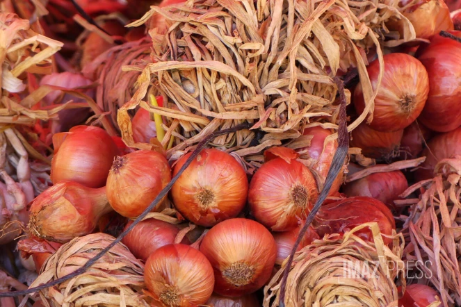 fruits et légumes au marché forain