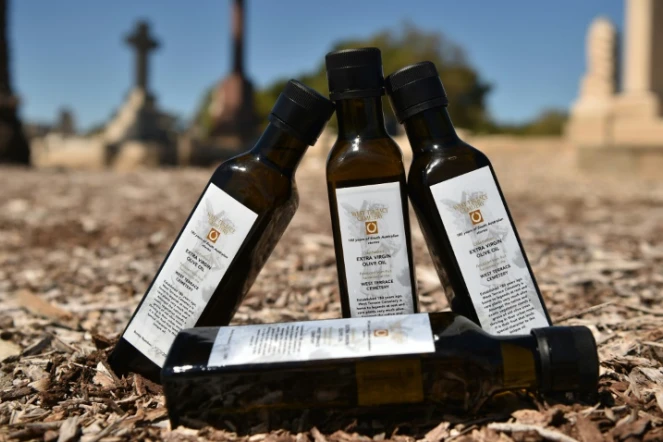 Des bouteille d'huile d'olive des oliviers poussant au milieu d'un cimetière à Adélaïde, en Australie, le 27 septembre 2017