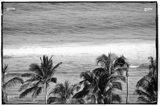 paysages 